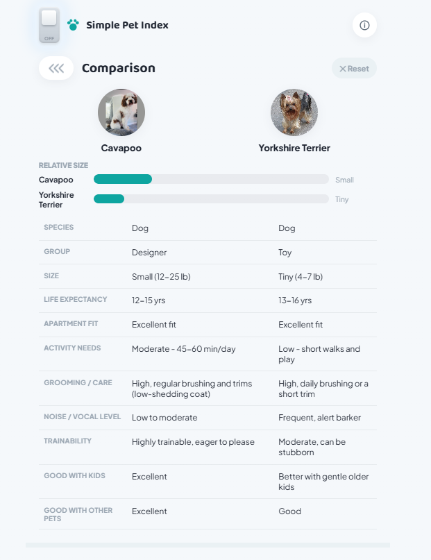 Side-by-side comparison of two dog breeds