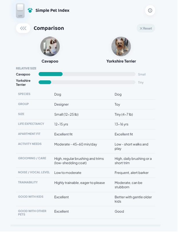 Side-by-side comparison of two dog breeds